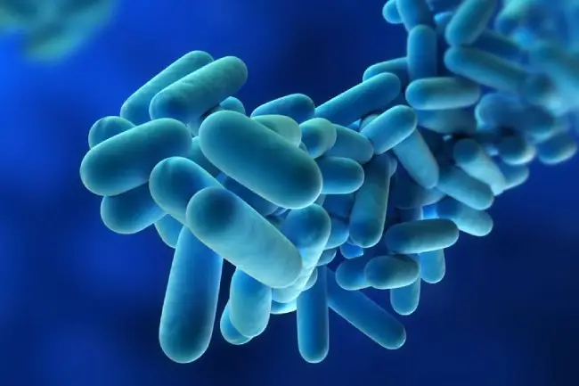 Legionella